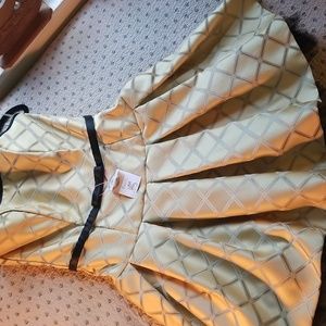 Jessica McClintock party dress